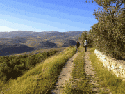 Tourivar